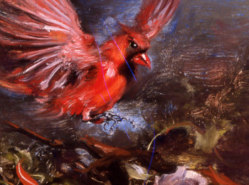 Cardinal