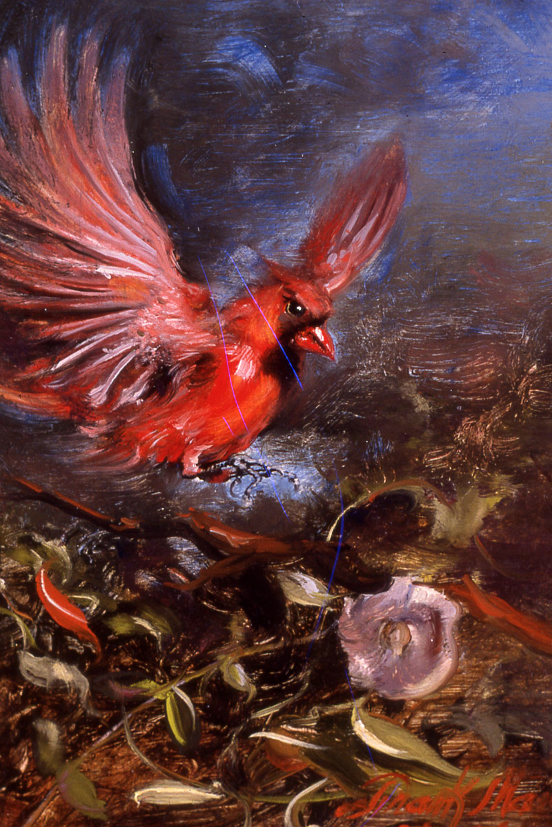 Cardinal