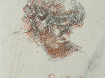 Head of Apostle