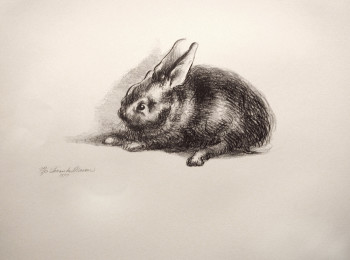 Rabbit
