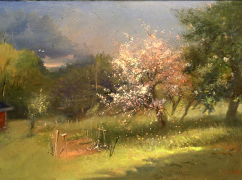 Peacham Orchard