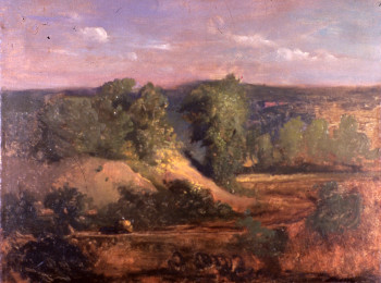 Dutch Elms, Hudson River Valley