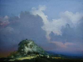 Afternoon Sun on Tree