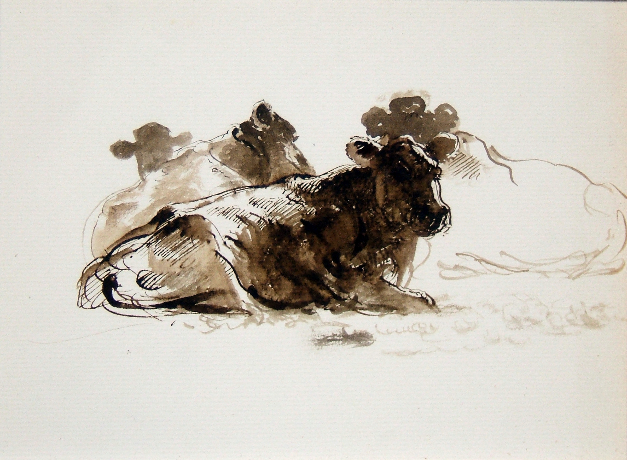 Four Seated Cows