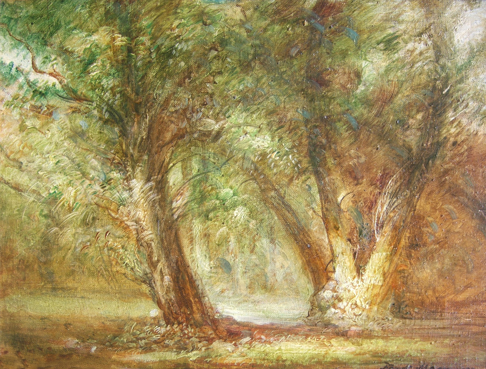 The Willows, Chicago Arboretum