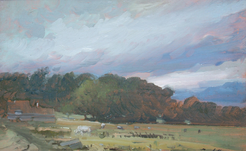 Grazing Herd, Carrigalen, Ireland