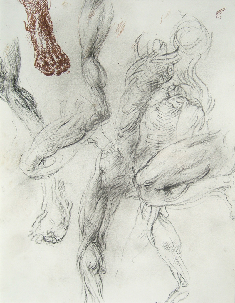 Back View Male Nude and Anatomy Studies