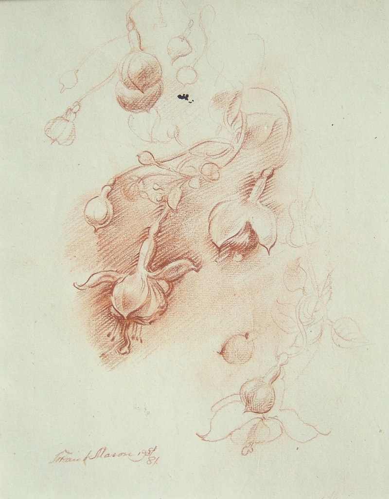 Flower Details