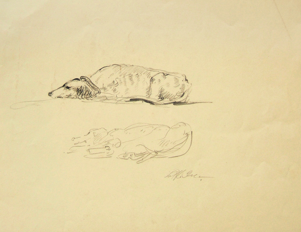 Two Resting Dogs