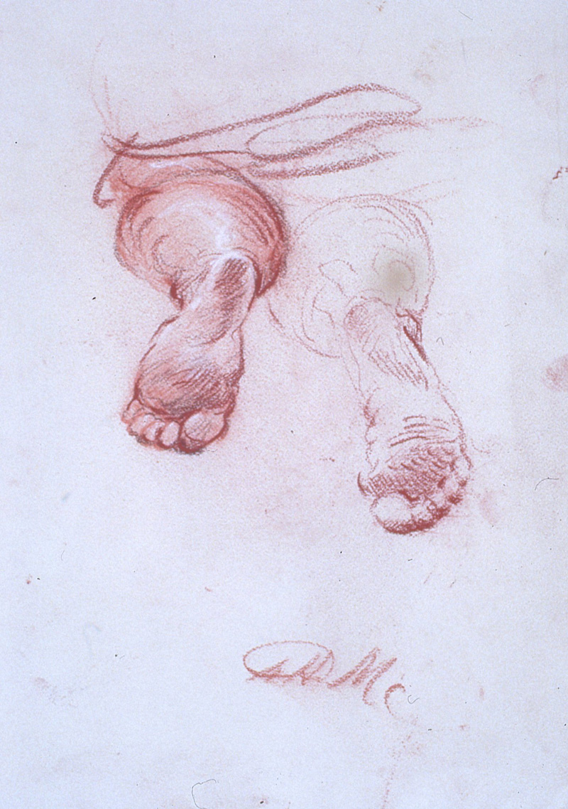 Feet of Shepherd