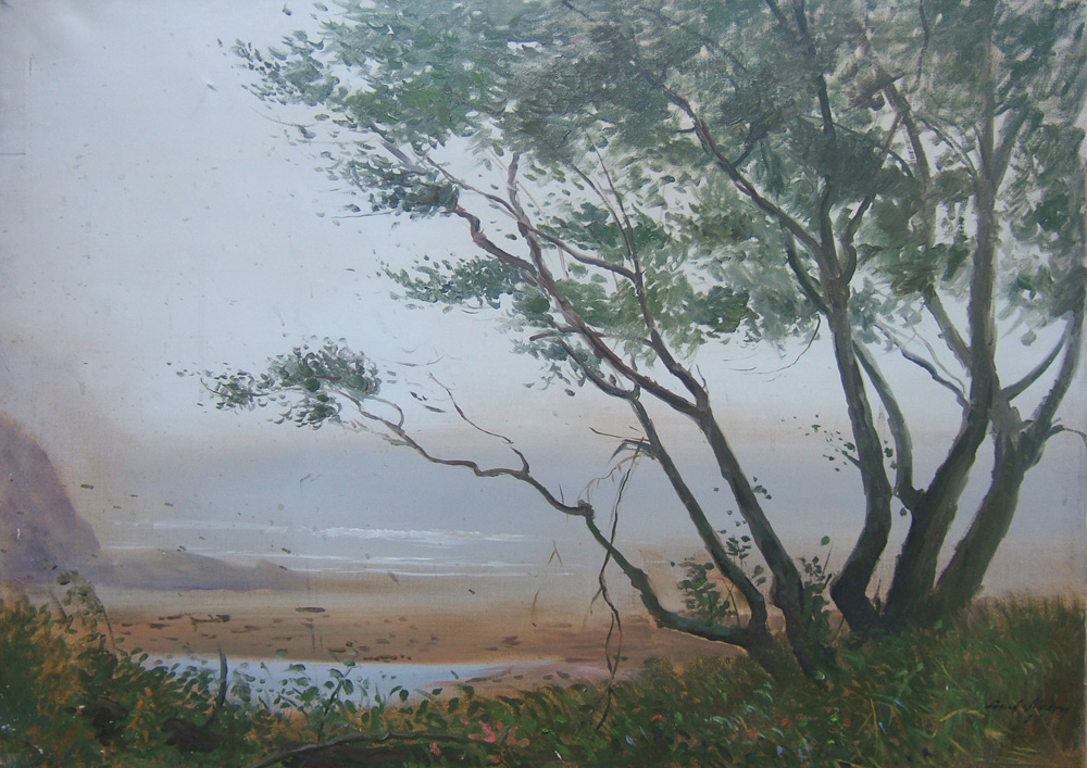 Tree to Wind, Small Point, ME
