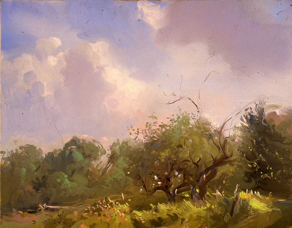 Harry’s Apple Orchard