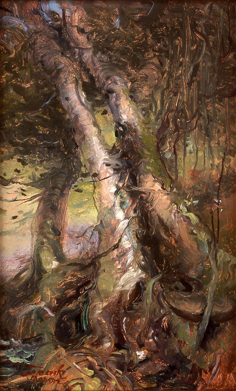 Old Birches