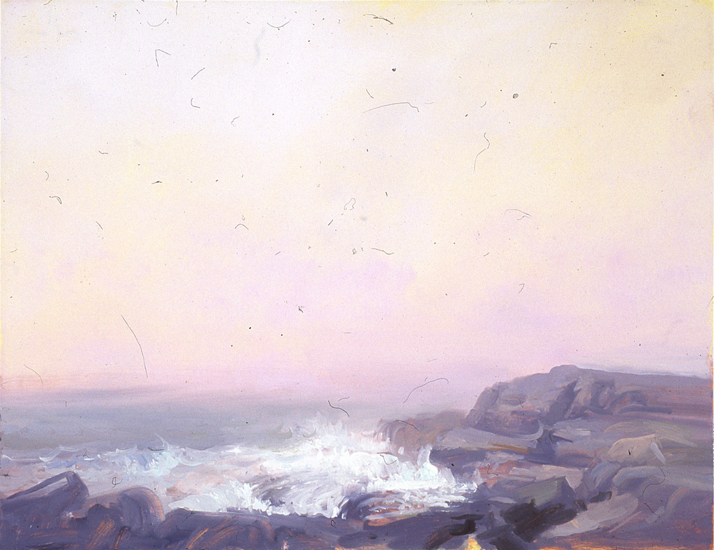 Areay Cove, Schoodic Point, Acadia