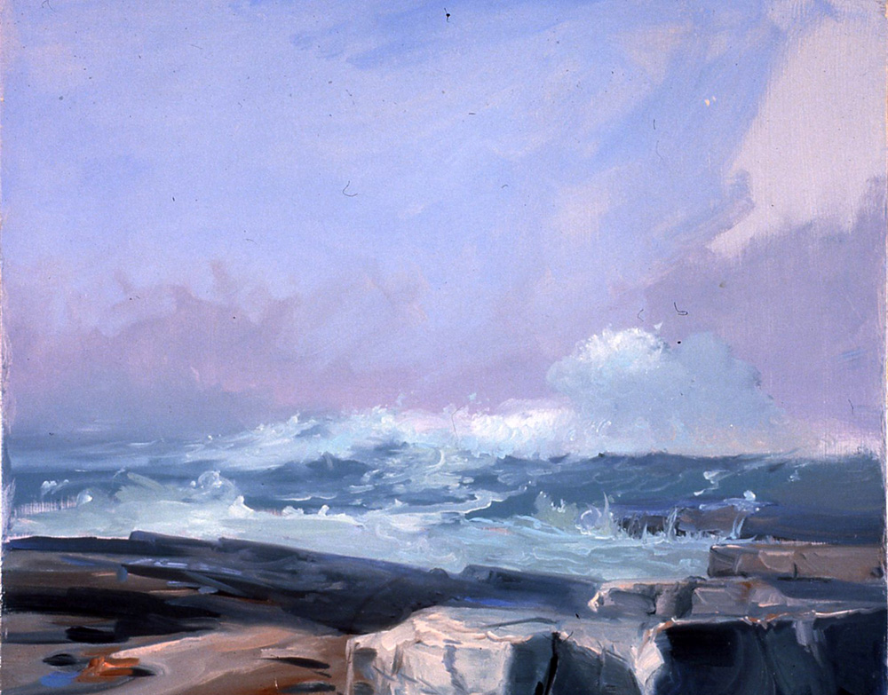 Low Tide, Schoodic Point, Acadia National Park