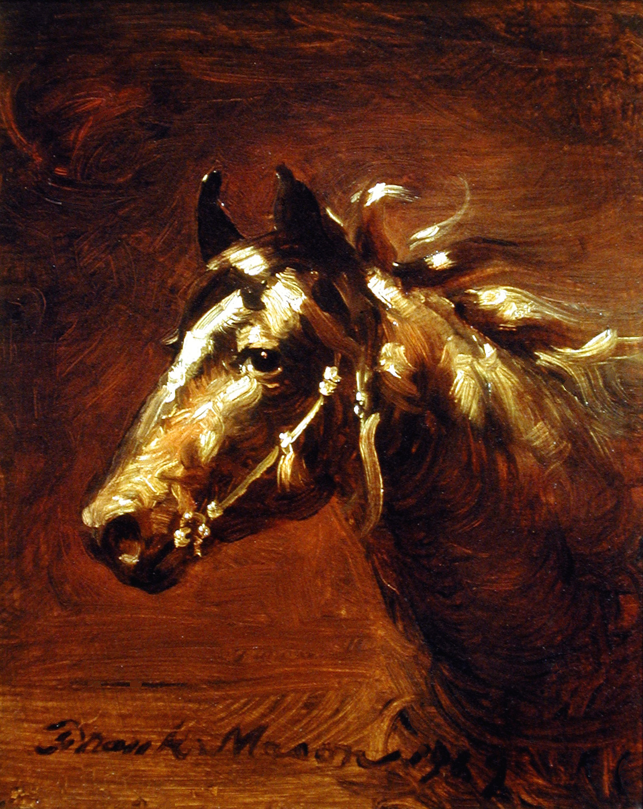 Margyl