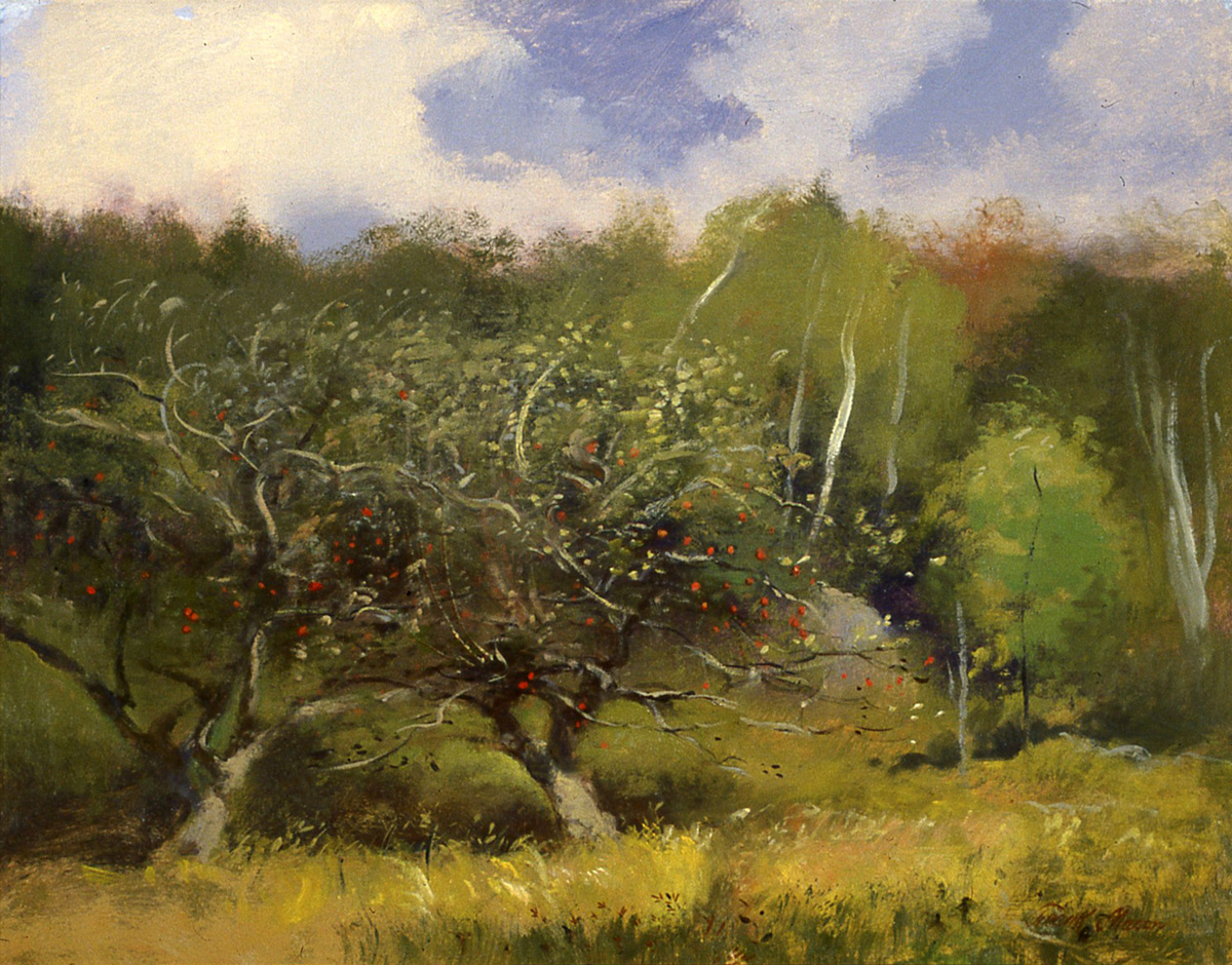 Apple Orchard, Peacham