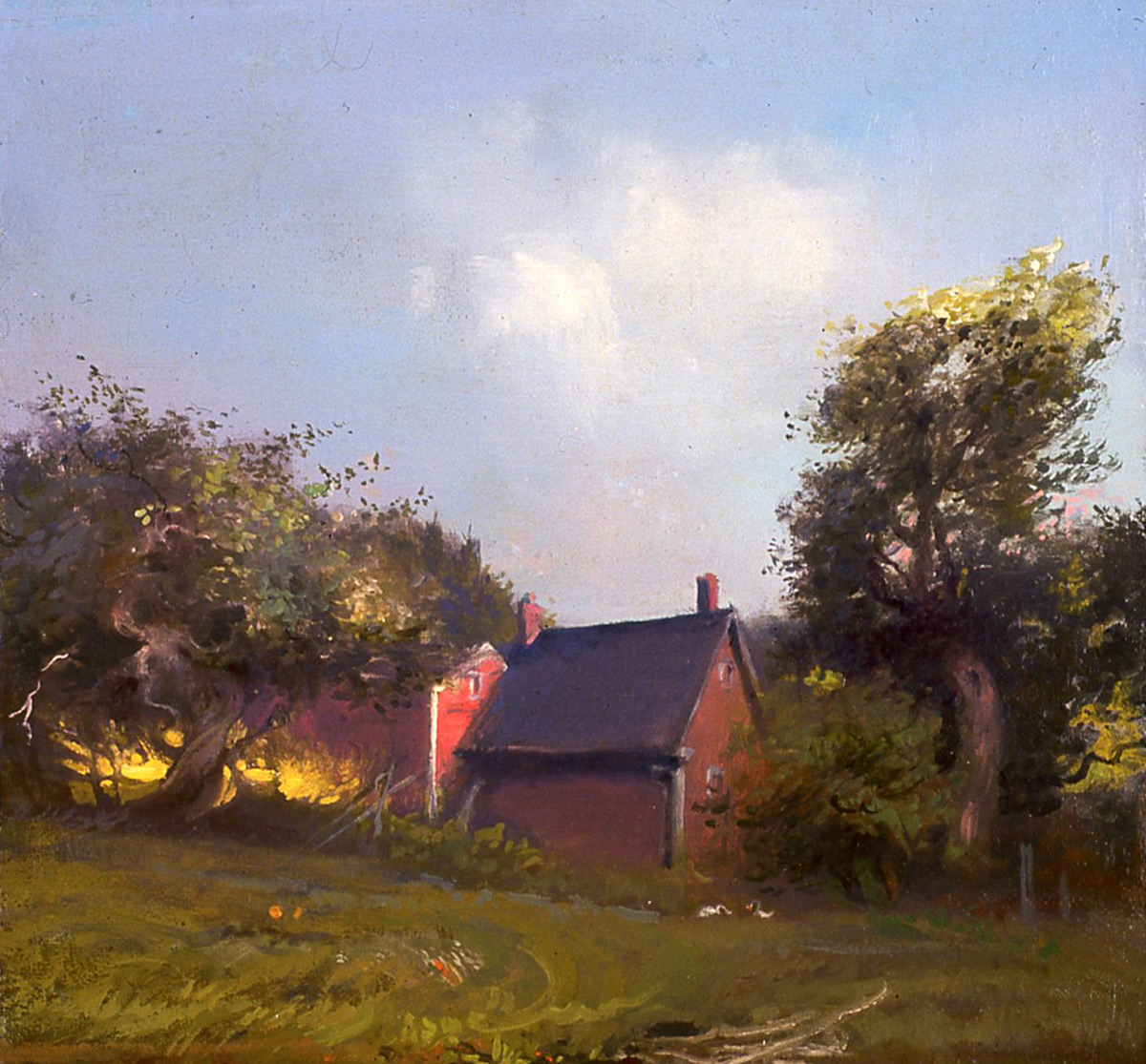 Late Afternoon, Orchard View